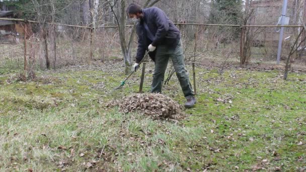 Young Man Disposable Mask Protect Coronavirus Conducts Spring Cleaning Garden — Stock Video