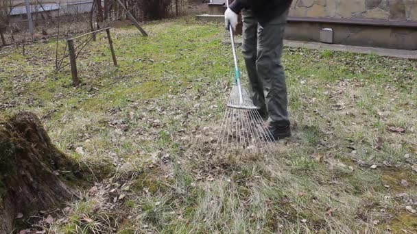 Młody Człowiek Jednorazowej Masce Ochrony Przed Koronawirusem Przeprowadza Wiosenne Czyszczenie — Wideo stockowe