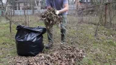 Tek kullanımlık maskeli hippi tarzı adam, bahçenin yapraklarını siyah bir çöp torbasında toplayarak bahar temizliği yapıyor. Gezegenin ekolojisini geliştirmek için çöpleri temizliyor.