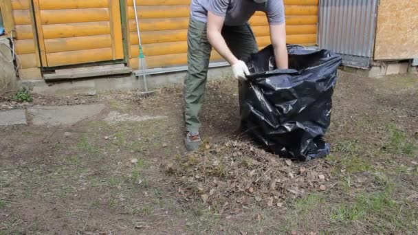 Hipster Style Man Disposable Mask Doing Spring Cleaning Garden Leaves — Stok Video