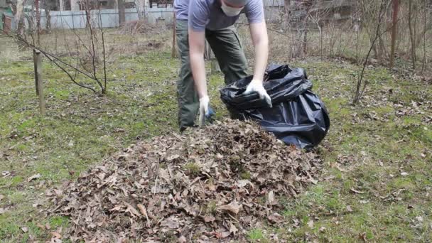 使い捨てマスクのヒップスタースタイルの男は 黒いゴミ袋にそれらを収集葉から庭の春の掃除をしています — ストック動画