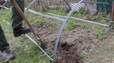 Adam bahçeye iniyor, sebze ekmek için büyük bir kürek kullanıyor. Yaz güneşli bir gün ekin ekmek için iyi bir zamandır. Çiftçilere sosyal yardım ve toprak günü konsepti. Kendin yap. Birinci adım.