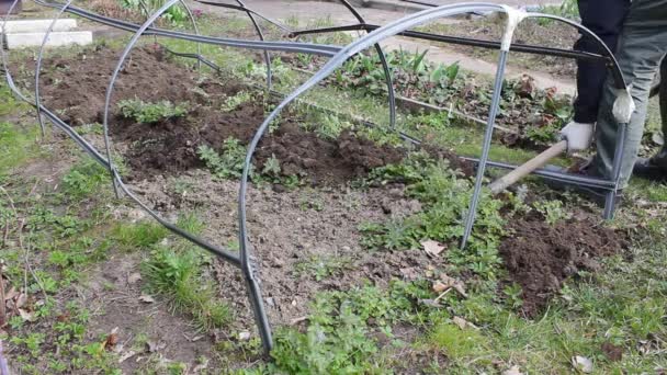 Člověk Vykopává Půdu Zahradě Používá Velkou Lopatu Pro Další Výsadbu — Stock video