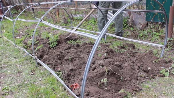 Человек Копает Землю Саду Используя Большую Лопату Дальнейшей Посадки Овощей — стоковое видео