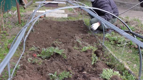 Mens Kweekt Verwijdert Onkruid Een Tuin Met Hark Voor Het — Stockvideo