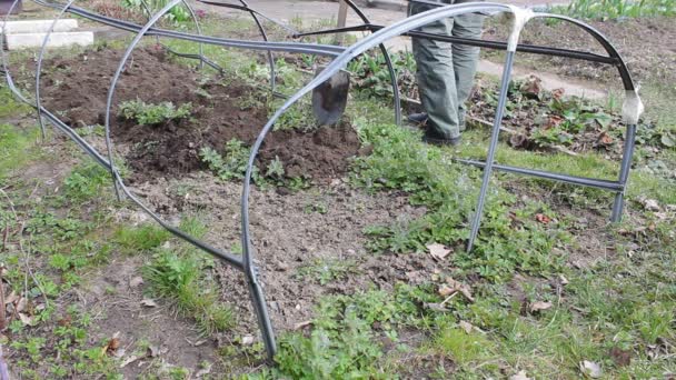 男は庭に土地を掘る野菜を植えるために大きなシャベルを使って 夏の晴れた日は植え付けのための良い時間です 自分でやるステップ1 — ストック動画