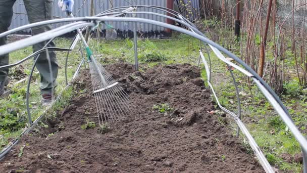Hombre Cultiva Elimina Las Malas Hierbas Jardín Con Rastrillo Para — Vídeo de stock