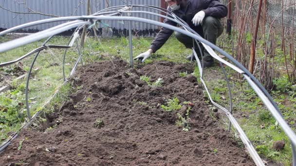 Hombre Cultiva Elimina Las Malas Hierbas Jardín Con Rastrillo Para — Vídeo de stock