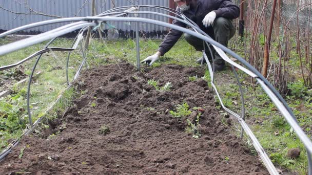 Mens Kweekt Verwijdert Onkruid Een Tuin Met Hark Voor Het — Stockvideo