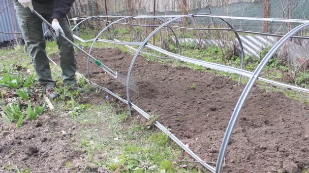 Man Cultivates Removes Weeds Garden Using Rake Further Planting Vegetables — Stock Video