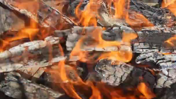 Het Verbranden Van Houtblokken Open Haard Tijdens Kerst Houtverwarming Brandveiligheid — Stockvideo