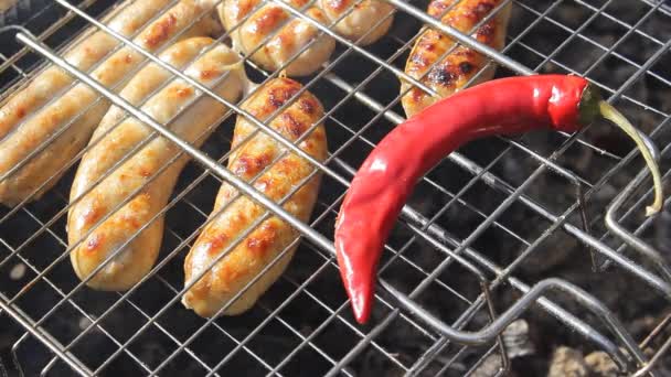 Ştah Açıcı Sosisler Izgarada Sıcak Kırmızı Biber Kupaty Tavuk Biber — Stok video