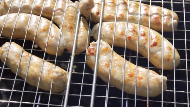 Kupaty Sausages Grill Kupaty Made Chicken Pork Intestines Pepper Onions — Stock Video