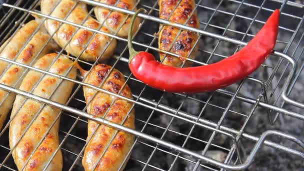 Appetizing Sausages Hot Red Pepper Grill Kupaty Made Chicken Pepper — Stock Video