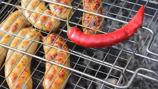 Appetizing Sausages Hot Red Pepper Grill Kupaty Made Chicken Pepper — Stock Video