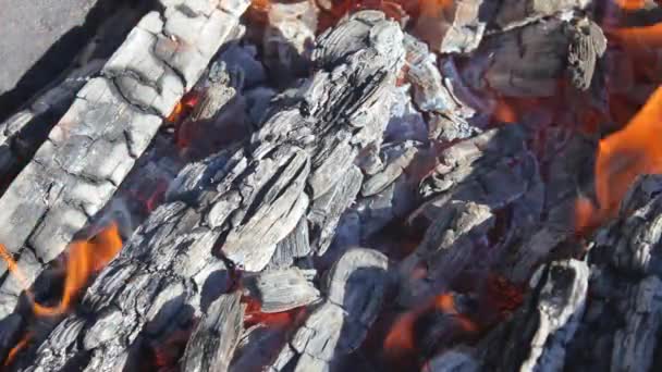 le bois brûle avec des flammes orange et rouge, se transformant en charbon. beau feu dans la nature et confort à côté du concept de cheminée 