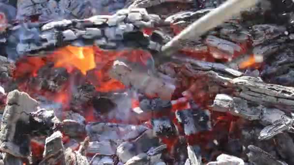 Wood Burns Orange Red Flames Turning Coals Beautiful Fire Nature — Stock Video