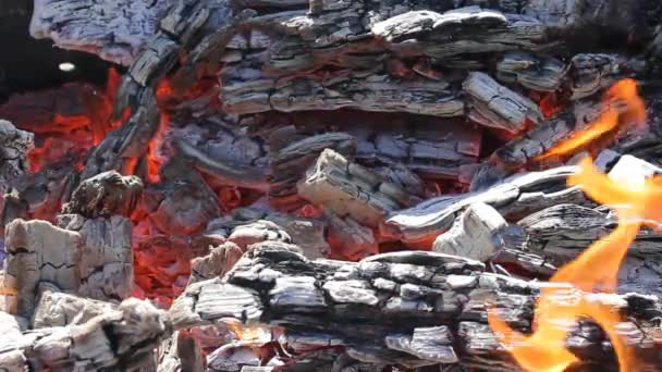 Madera Arde Con Llamas Anaranjadas Rojas Convirtiéndose Carbones Hermoso Fuego — Vídeos de Stock