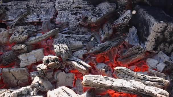 Madeira Arde Com Chamas Laranja Vermelha Transformando Brasas Belo Fogo — Vídeo de Stock