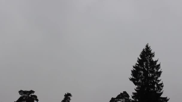 Nubes Tormenta Atardecer Con Relámpagos Fondo Paisaje Vídeo Tormenta Truenos — Vídeos de Stock