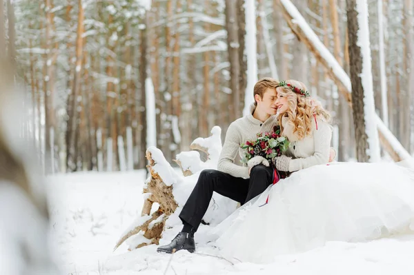 Fotosessão de casamento de inverno na natureza — Fotografia de Stock