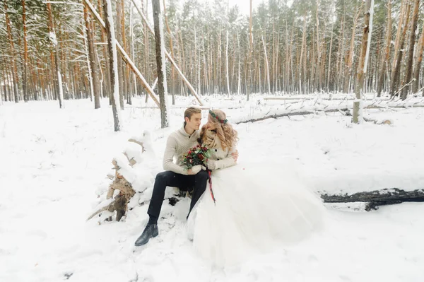 Fotosessão de casamento de inverno na natureza — Fotografia de Stock
