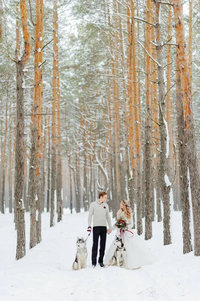 Photosession de mariage d'hiver dans la nature — Photo