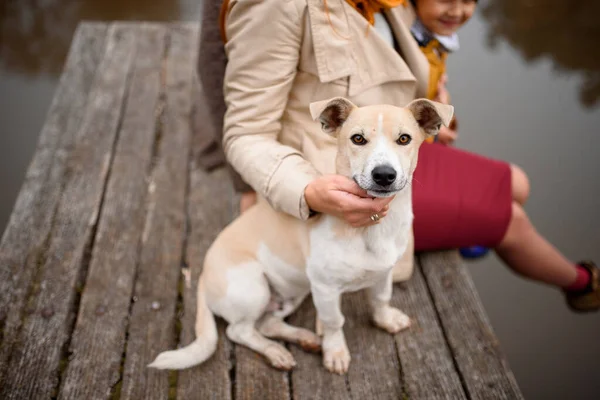 Close Portret Van Een Familie Een Wandeling Met Hun Hond — Stockfoto