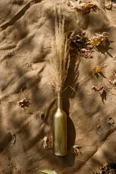 Bodegón Ramo Flores Secas Una Botella Vidrio Sobre Fondo Blanco —  Fotos de Stock