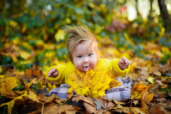 Happy Little Girl Laughs Plays Outdoors Neck Necklace Autumn Leaves — Stock Photo, Image