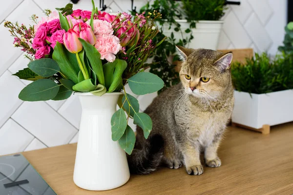 고양이는 현대식 꽃다발 옆에서 번식한다 — 스톡 사진