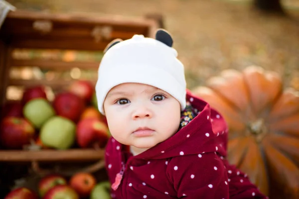 Niña Feliz Parque Otoño —  Fotos de Stock