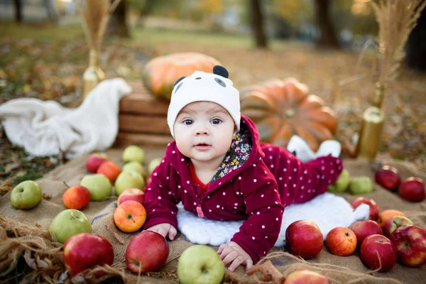 Klein Meisje Kiest Een Appel Voor Eerste Voeding — Stockfoto