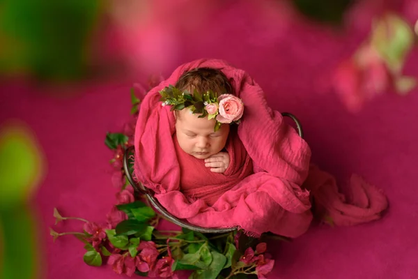 Retrato Cerca Una Linda Niña Recién Nacida Durmiendo Envuelta Una —  Fotos de Stock