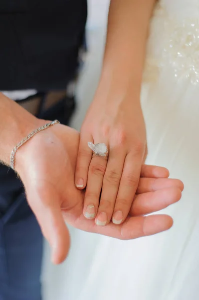 Der Bräutigam Hält Seine Geliebte Der Hand Die Braut Hat — Stockfoto