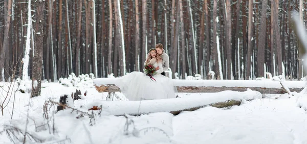 Casal Bonito Apaixonado Por Buquê Estão Sentados Tronco Fundo Floresta — Fotografia de Stock