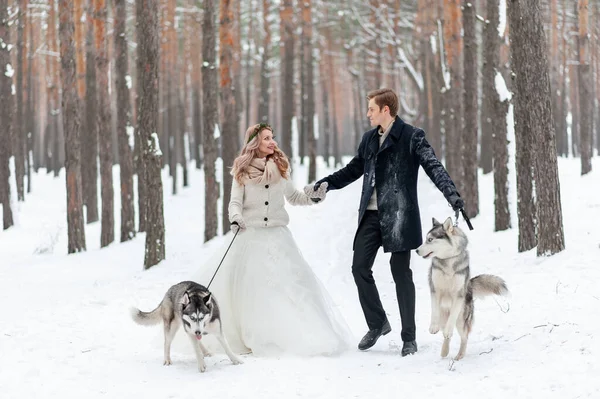 Noiva Alegre Noivo Com Dois Husky Siberiano São Colocados Fundo — Fotografia de Stock