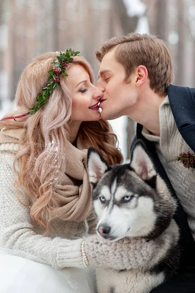 Recém Casados Alegres Estão Beijando Fundo Husky Casamento Inverno Espaço — Fotografia de Stock