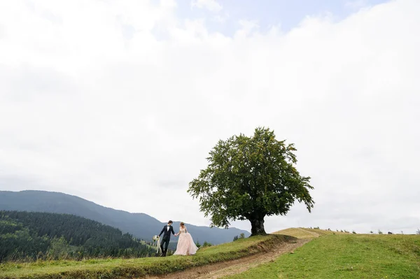 Жених Невеста Обнимаются Старым Дубом Свадебная Фотосессия Горах — стоковое фото