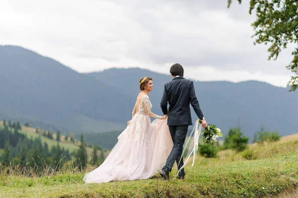 新娘和新郎在山中的背景下手挽手散步 婚纱照 — 图库照片