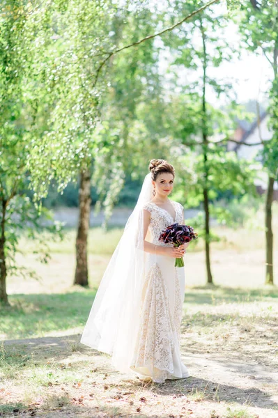 Ritratto Una Bella Sposa Natura — Foto Stock