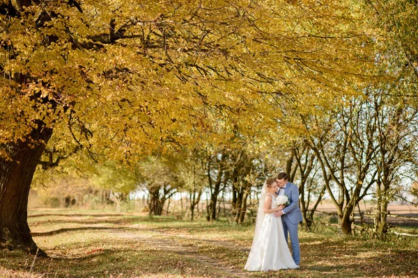 Młoda Piękna Para Przytula Się Sukniach Ślubnych Jesiennym Parku — Zdjęcie stockowe