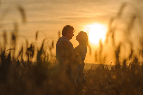 Взрослый фермер и его жена обнимаются на пшеничном поле.
.