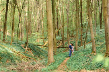 Ormanda aşık genç ve güzel bir çift. Bir çift ağaçların arasındaki bir vadide sarılıyor. Boş alan.