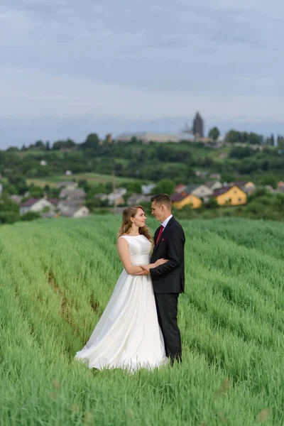 Casal Traje Casamento Está Campo Verde Fundo Aldeia Pôr Sol — Fotografia de Stock