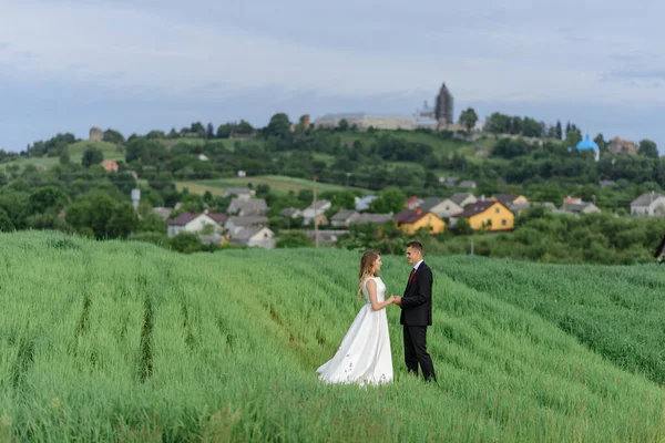 Ζευγάρι Γαμήλια Ενδυμασία Στέκεται Ένα Πράσινο Πεδίο Στο Παρασκήνιο Του — Φωτογραφία Αρχείου