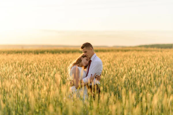 新娘和新郎在麦田里 日落时 一对情侣拥抱在一起 — 图库照片