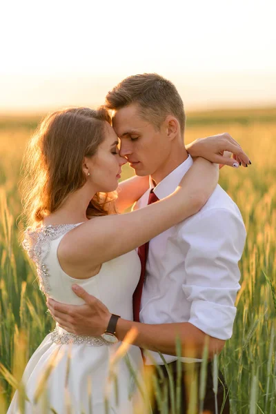 Νύφη Και Γαμπρός Χωράφι Σιτάρι Ένα Ζευγάρι Αγκαλιάζεται Ηλιοβασίλεμα — Φωτογραφία Αρχείου