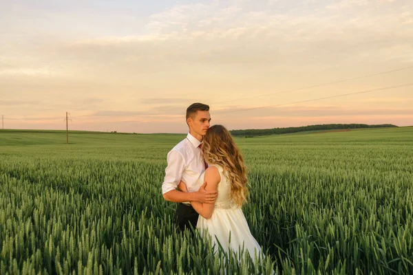 Noiva Noivo Num Campo Trigo Casal Está Abraçando Durante Pôr — Fotografia de Stock