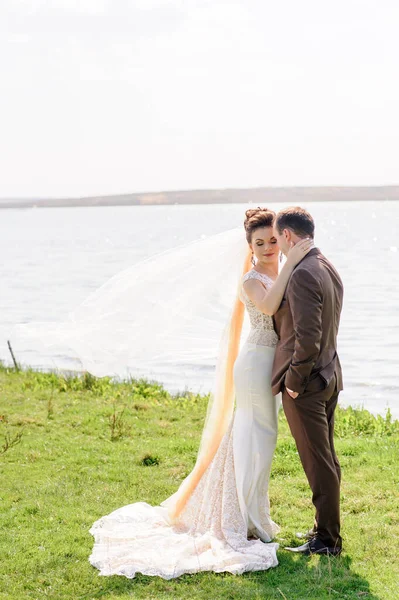 新娘和新郎在大自然的池塘边拥抱 风吹起轻纱 — 图库照片